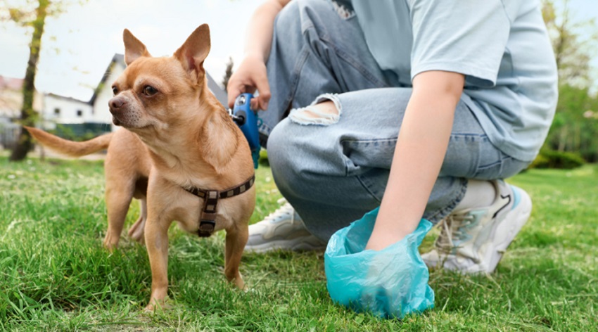 How Commercial Pet Waste Removal Services Keep Public Spaces Clean?